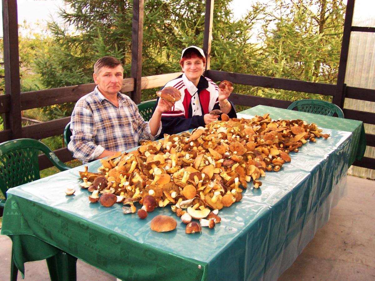 Biebrza24 - Agroturystyka Hotel Sztabin Bagian luar foto