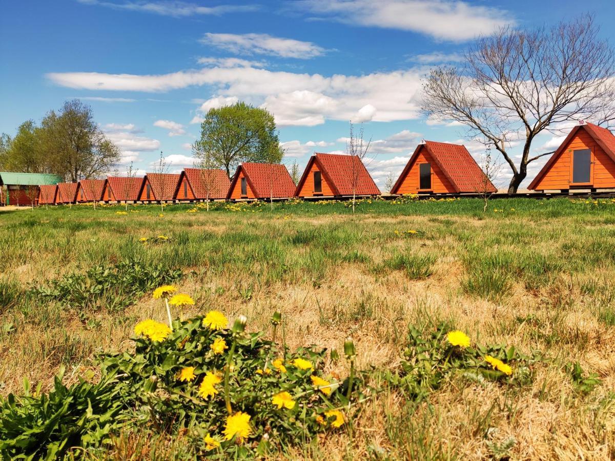 Biebrza24 - Agroturystyka Hotel Sztabin Bagian luar foto