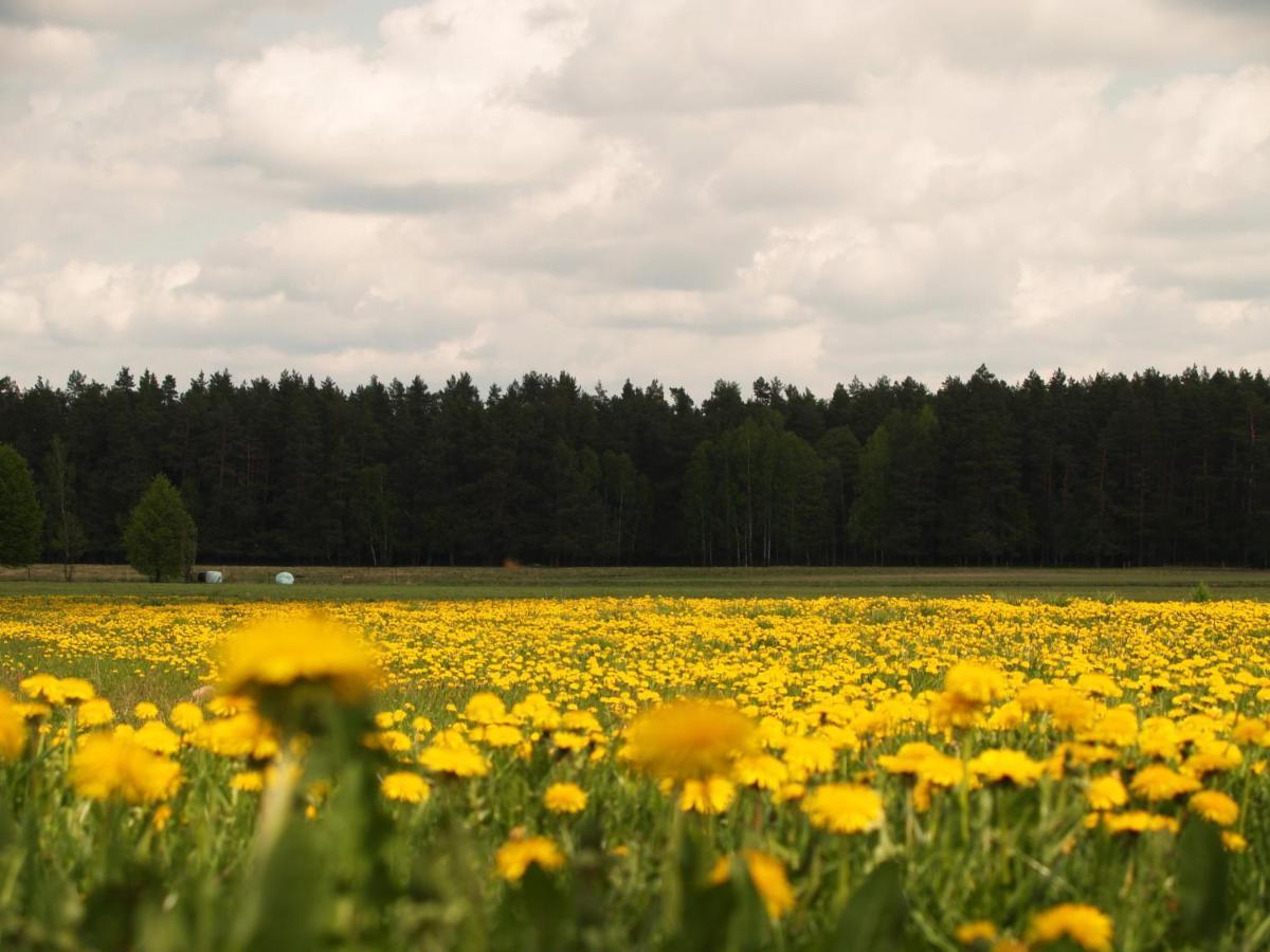 Biebrza24 - Agroturystyka Hotel Sztabin Bagian luar foto